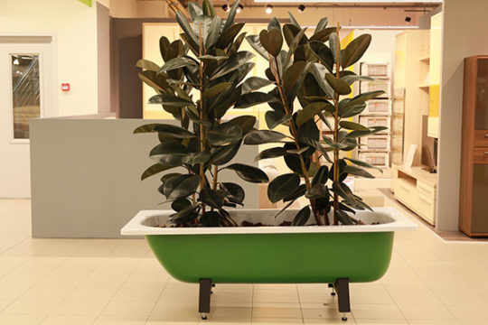 Яркий фото внутри 19